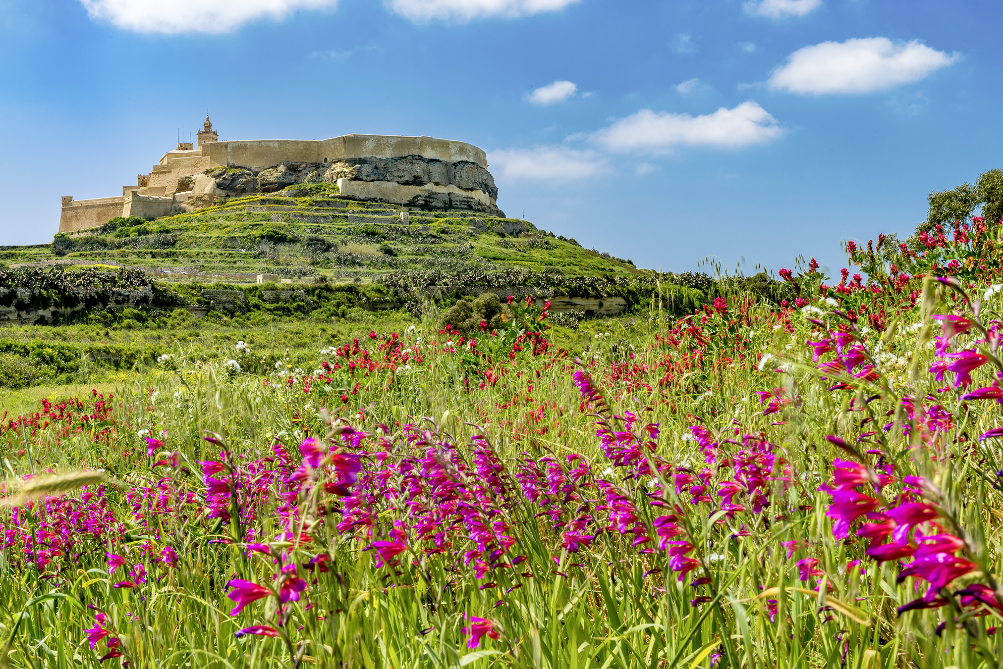 Citadelle de Victoria à Gozo